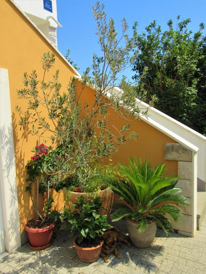 Apartment Andrea Orebic Exterior photo